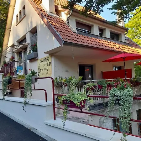 D'hotes La Foret Bed & Breakfast *